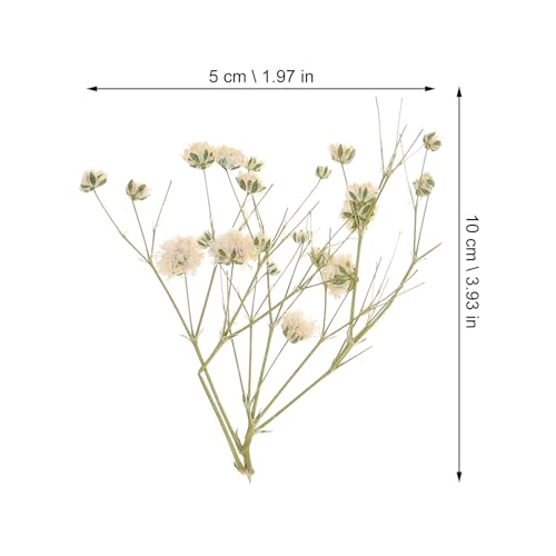 Ramo natural de flores secas para decoración miniatura 2