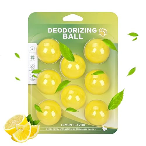 ���L�{�[�� | 8���� ������ �S���� �t���b�V���i�[ | ���p��C������L�{�[��,�� �}�b�g �P�[�W �g�C���{�b�N�X �C �N���[�[�b�g ���[�h���[�u �J�[�y�b�g �Ƌ� �p