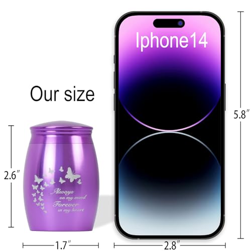Image of Small Urns for Ashes for Female /Women /Mom /Mother /Grandma /Girl | 2.7Inch Mini Purple Butterfly Keepsake Urn for Ashes,Small Cremation Urns for Human Ashes(Aluminum)