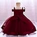Embroidery Flower Girls Prom Gowns A-Line Puffy Wedding Bridesmaid Princess Party Tulle Dress for Toddler Kids 1-3 Years