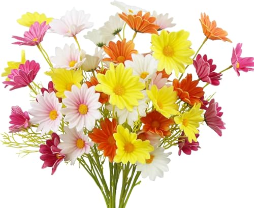 DIFEIUKI f[W[  10{Zbg 5։/{ e ͂Ȃ Jt t̉ {  Q   ԑ ̓ Mtg  CeA ʐ^ tFCNt[ 52cm/?{