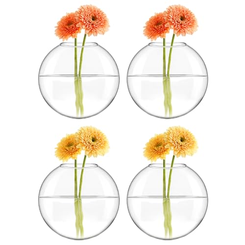Mkono Wall Hanging Planter Propagation Station Glass Flower Vase for Hydroponics Plants, Bathroom, Home Office Living Room Decor Gift, Oblate Set of 4 - Image 5
