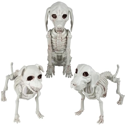 SCS Direct Halloween Dog Skeleton 3 pack