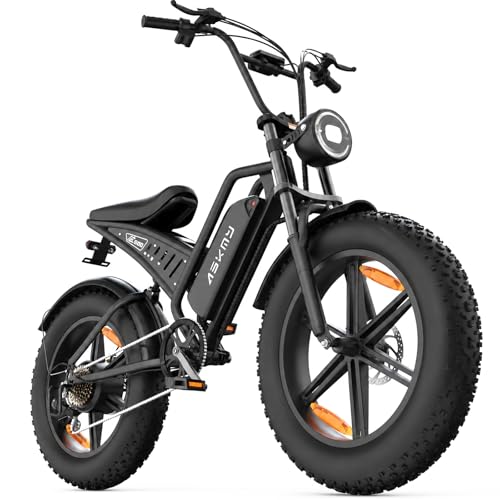 RPINT Electric Mountain Bike for Adults, 20 Inch Fat Tire
