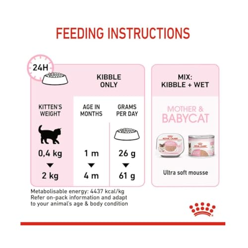 Royal Canin Mother & Babycat Trockenfutter | Doppelpack | 2 x 400 g | Für tragende und säugende Katzen | Alleinfuttermittel speziell für die Mutterkatze und ihre Welpen
