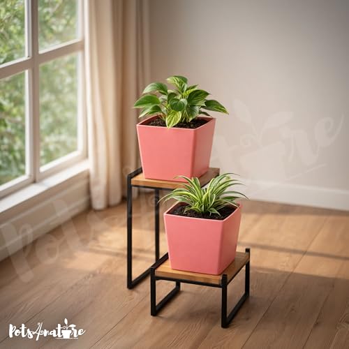 Image of POTS4NATURE Square Pots for Plants | Lightweight Plastic Flower Pot for Indoor & Outdoor Home /Office /Table /Garden /Balcony Decoration | Terracotta Color | 6 Inches (Pack of 2)