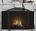 Fire Beauty Fireplace Screen 3 Panel Wrought Iron Metal 48