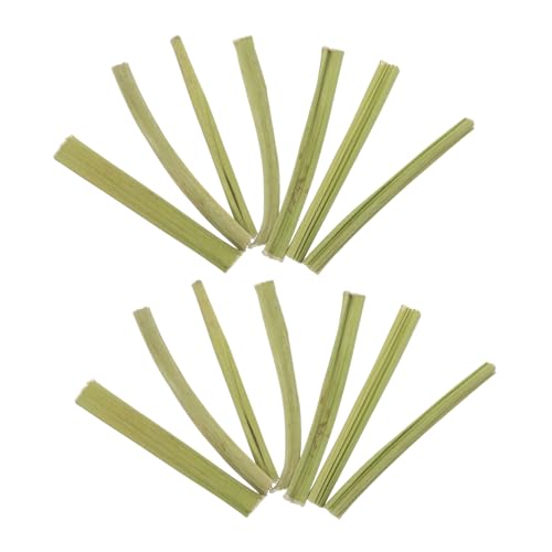 DINHEAROM 無添加木瓜茎おや 小動物用噛むおもちゃ ハムスター チンチラ う