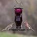 Perky Pet Amethyst Starburst Vintage Glass Wild Bird Feeder 8137-2