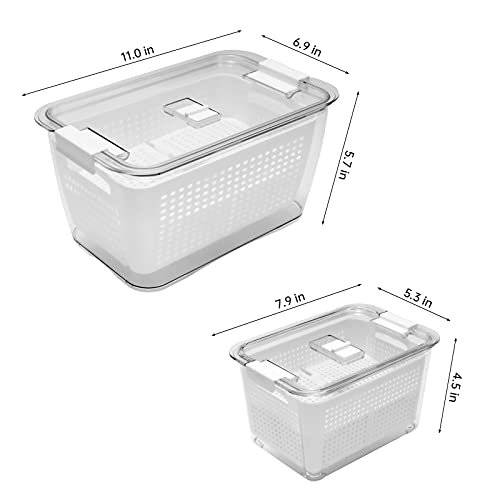 Rarapop 2 Pack Fridge Produce Saver Stay Fresh Containers with Strainers and Vented Lids, Food Storage Containers Refrigerator Organizer Bin Baskets for Veggie, Berry and Fruits (Large & Medium) - Thumbnail 2