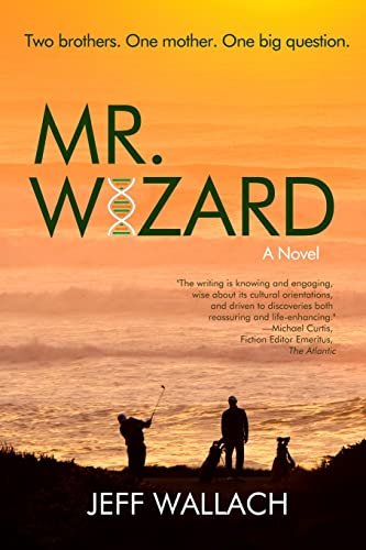 Mr. Wizard view 2