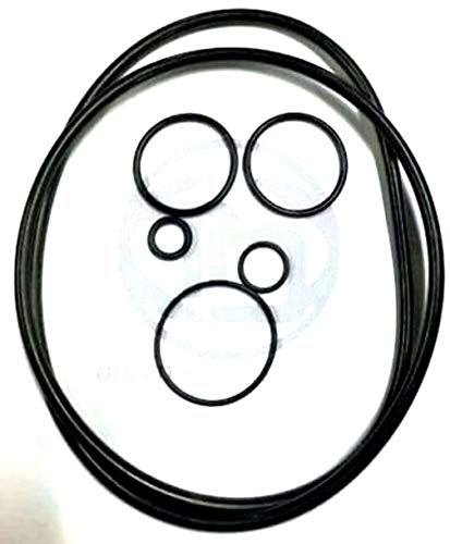 Tork Distributors Compatible with 805-0460 Waterway Clearwater II Cartridge + DE Filter Oring Replacement Kit