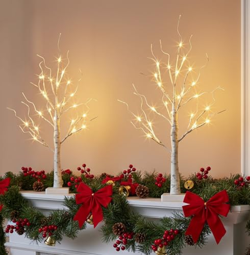 EAMBRITE Lighted Birch Tree Christmas Decorations Indoor for Home, 2Pack 24 LED Battery Operated/USB Tabletop Mini Small Artificial White Trees with Lights for Table Mantel Winter Xmas Decor (2FT)