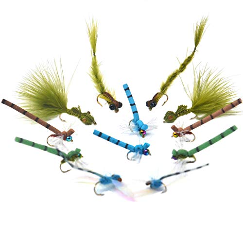 Outdoor Planet 12 Damsel Streamer Flies/Dragonflies and Damselflies/Adult Damsel/Living Damsel/Damsel Nymph/Dry Flies for Trout Fly Fishing Flies Lure Assortment