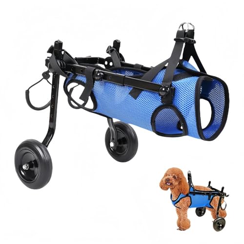 ソラ太郎ページ■小型犬用4輪　犬の車椅子　犬の歩行器　+オプション ソラ太郎様専用ページ□小型犬用4輪 犬の車椅子 犬の