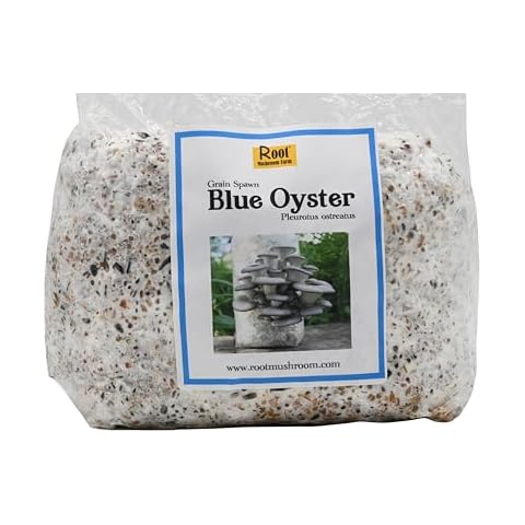 Root Mushroom Farm-Blue Oyster Grain Spawn(NOT A GROW KIT) Cover