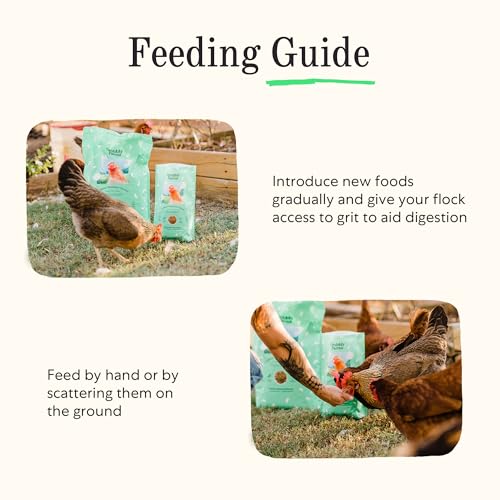 Image of Grubbly Farms Grubblies - Black Soldier Fly Larvae for Chickens - Chicken Treats Grown in the US and Canada - for Strong Eggshells and Healthy Feathers - Grubblies Hometown Harvest 5LB