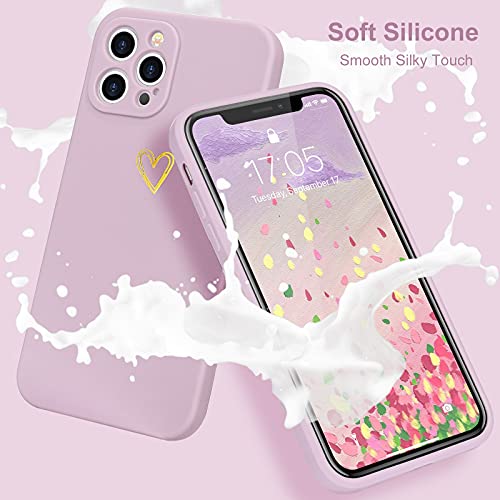 Lafunda Cover Compatibile per iPhone 12 Pro Max