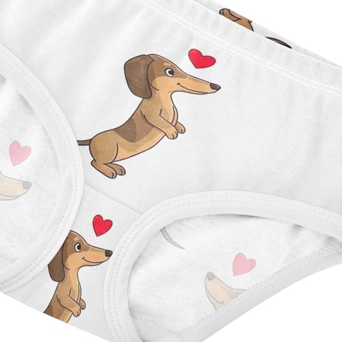 Toddler Underwear Floral 2t Cotton Panties for Girl Funny Underpants Briefs Cute Cartoon Dachshunds Heart White4
