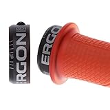 Ergon