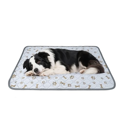 洗えるペットシーツ 犬用 繰り返し使える トイレトレーニング 45×60cm 2枚組