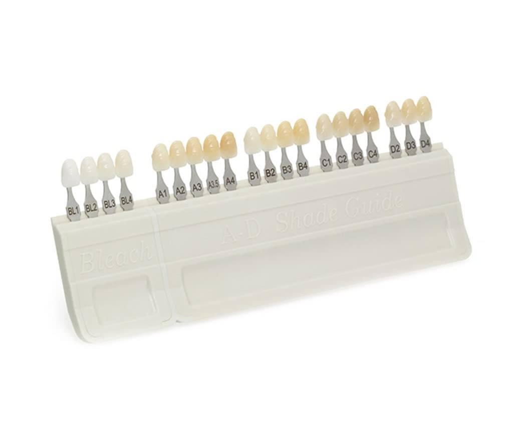 Porcelana AD Guida Colori Denti Dentali 20 Colori
