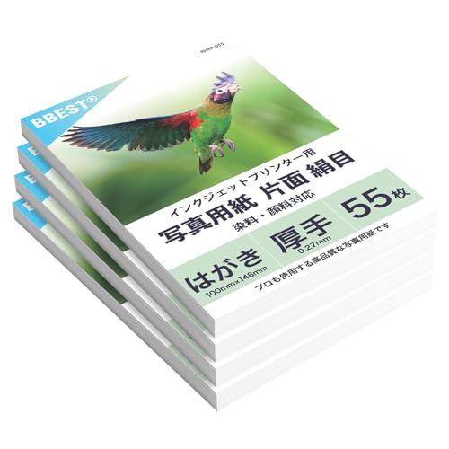 BBEST 写真用紙 絹目調 半光沢 L判 RHKL-220