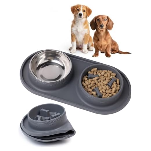 MalsiPree 2-in-1 Puppy Slow Feeder & Water Bowl Set - Puppy Adoption Gifts & Dog Birthday Treats Station - Silicone Feeding Mat with Stainless Steel Bowls - Accessories & Training Supplies - Gray