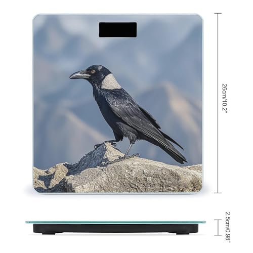 Báscula Digital Black Crow Birds de Vidrio Templado miniatura 2