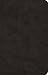 ESV UltraThin Bible (TruTone, Black)