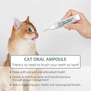 Cat Oral Ampoule for Cats Enzymatic Dental Care for Cats and Kittens - Brushless Toothpaste for Reduces Bad Breath and Control Tartar and Plaque - 0.338 Floz (10ml) (0.3 oz - 1 Count) Cat Oral Ampoule for Cats Enzymatic Dental Care for Cats and Kittens – Brushless Toothpaste for Reduces Bad Breath and Control Tartar and Plaque – 0.338 Floz (10ml) (0.3 oz – 1 Count)