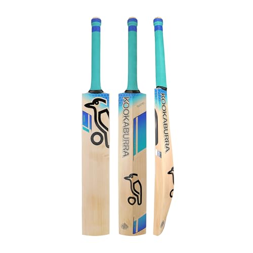 Batte de cricket avec manche court dynamique pour des frappes puissantes et précises