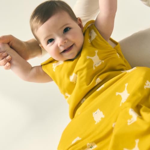 Image of JOI All Season Super Soft Sleeping Bag, Wearable Blanket for Babies, 2024 Good Housekeeping Parenting Award Winner Sleep Sack, Covers TOG 1.0, 1.5 and 2.0