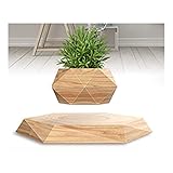 □ □ Peso ligero □ - El bonsai de aire está hecho de resina y materiales naturales y es respetuoso con el medio ambiente.Fácil de instalar, fácil de mantener, adecuado para pequeñas plantas en maceta de interior / hierbas, trabajo tranquilo y estable.