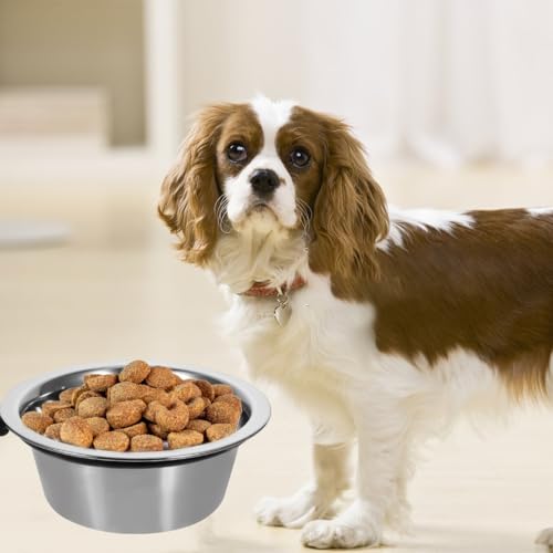 BELLIFFY Erhöhter Hundenapf Aus Edelstahl Wandmontierter Futter- Und Wassernapf Für Große Hunde rutschfest Leicht Zu Reinigen Und Komfortabel Für Haustierfütterung