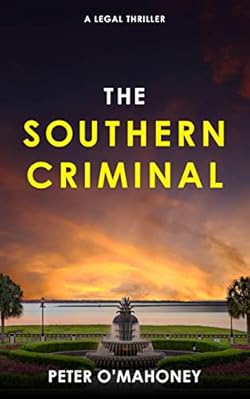 The Southern Criminal (The Southern Lawyer Series Book 2) cover image
