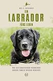  Ein Labrador fürs Leben: Wie ein chaotischer Vierbeiner unsere Familie wieder vereinte