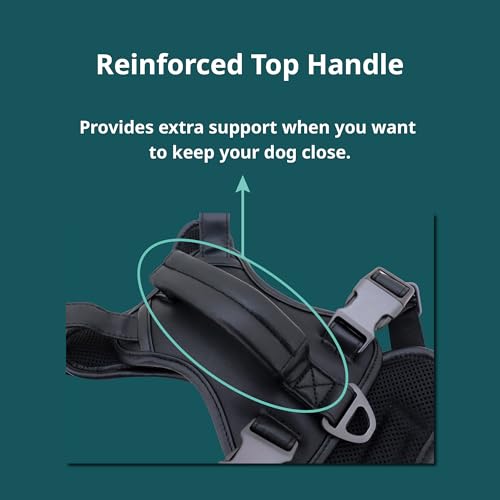 CANAGAN Vegan Leather Dog Vest Harness for Large Dogs,Heavy Duty Design,Cruelty-Free,No Pull,Handle & Dual Leash Clips,Adjustable Vest – Black - Image 4