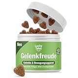 Lucky Tales Gelenkfreude - Gelenktabletten Hund als Leckerli - 12-in-1 Gelenkformel mit Grünlippmuschel Hund, Glucosamin, Chondroitin, MSM & Kollagen - Für Mobilität & Beweglichkeit 100 Snacks