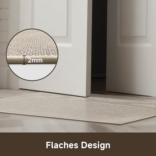 Mizuosre Fußmatte Innen Waschbar 43.5x75cm, rutschfest Fussmatte Innen Dünn Schmutzfangmatte Innen Türmatte Outdoor, Eingangsteppich mit Wasserabsorbierenden für Innen, Außen, Hund & Haustür, Beige