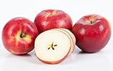 Kauffman Orchards Fresh-Picked Crimson Crisp Apples (Box of 8)