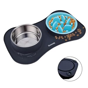 Dxmnoly Dog Slow Feeders, Dog Bowl Slow Feeder 3-in-1 Stainless Steel Dog Food and Water Dog Bowls with No Spill Non-Skid Silicone Mat Suitable for Feeding Small Medium Dogs Cats Bowl Set (Black)