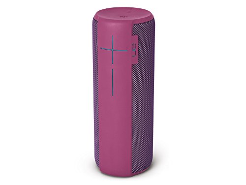 Produktbild von ULTIMATE EARS EVERBOOM Bluetooth Lautsprecher - 360° Sound, 20h Akku, IP67 Wasserdicht