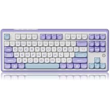 DAIDAIAJAZZ AK870 TKL 87-Key Gasket Structure Full-Key Hot-Swappable Mechanical Keyboard Type-C/2.4G/BT 5.1, 4000mAh Battery, MOA Keycap,South-Facing RGB, for Windows/MAC.