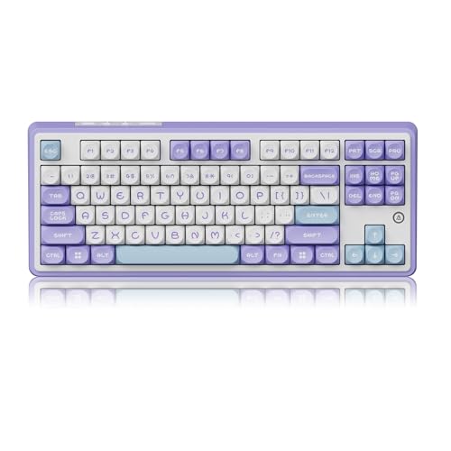 DAIDAI×AJAZZ AK870 TKL 87�L�[�K�X�P�b�g�\�� �t���L�[ �z�b�g�X���b�v�\ ���J�j�J���L�[�{�[�h Type-C/2.4G/BT 5.1 4000mAh �o�b�e���[ MOA�L�[�L���b�v ����� RGB Windows/Mac�p