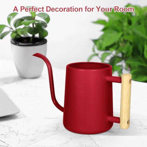 Image of Watering Can Indoor Plants, 35 oz /1000 ml Metal Stainless Steel Watering Can Pot with Long Spout for Indoor House Plants Bonsai Outdoor Garden Flower Decorative (Red)