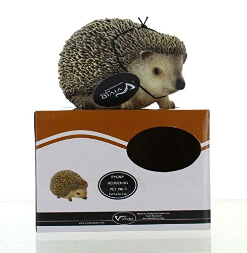 Gardening Delights Pet Pals Pygmy Hedgehog