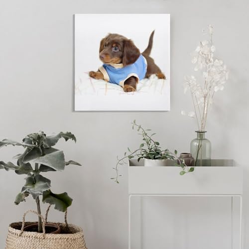 Poster teckel sur toile pour salon et chambre déco 50x50 cm