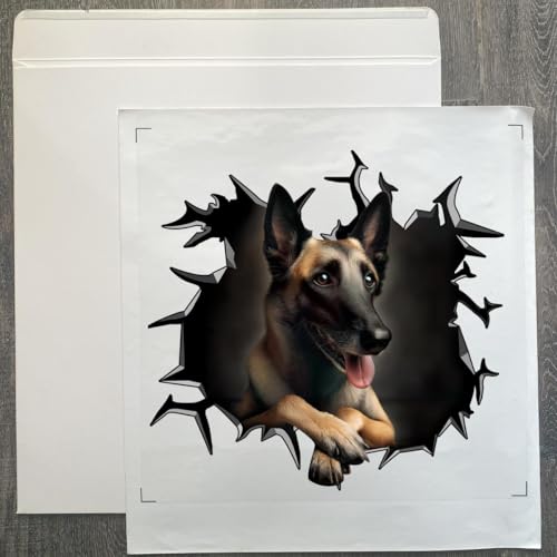 Image of Cute Dog Stickers for Car Window Decals Waterproof Funny Sticker (Belgian Malinois Stickers)
