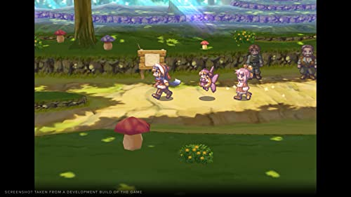 Rhapsody : Marl Kingdom Chronicles Deluxe Edition Ps5 - vue 4